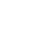 sir dam logo